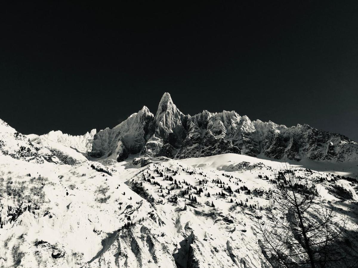 Le Petit Cham Daire Chamonix Dış mekan fotoğraf